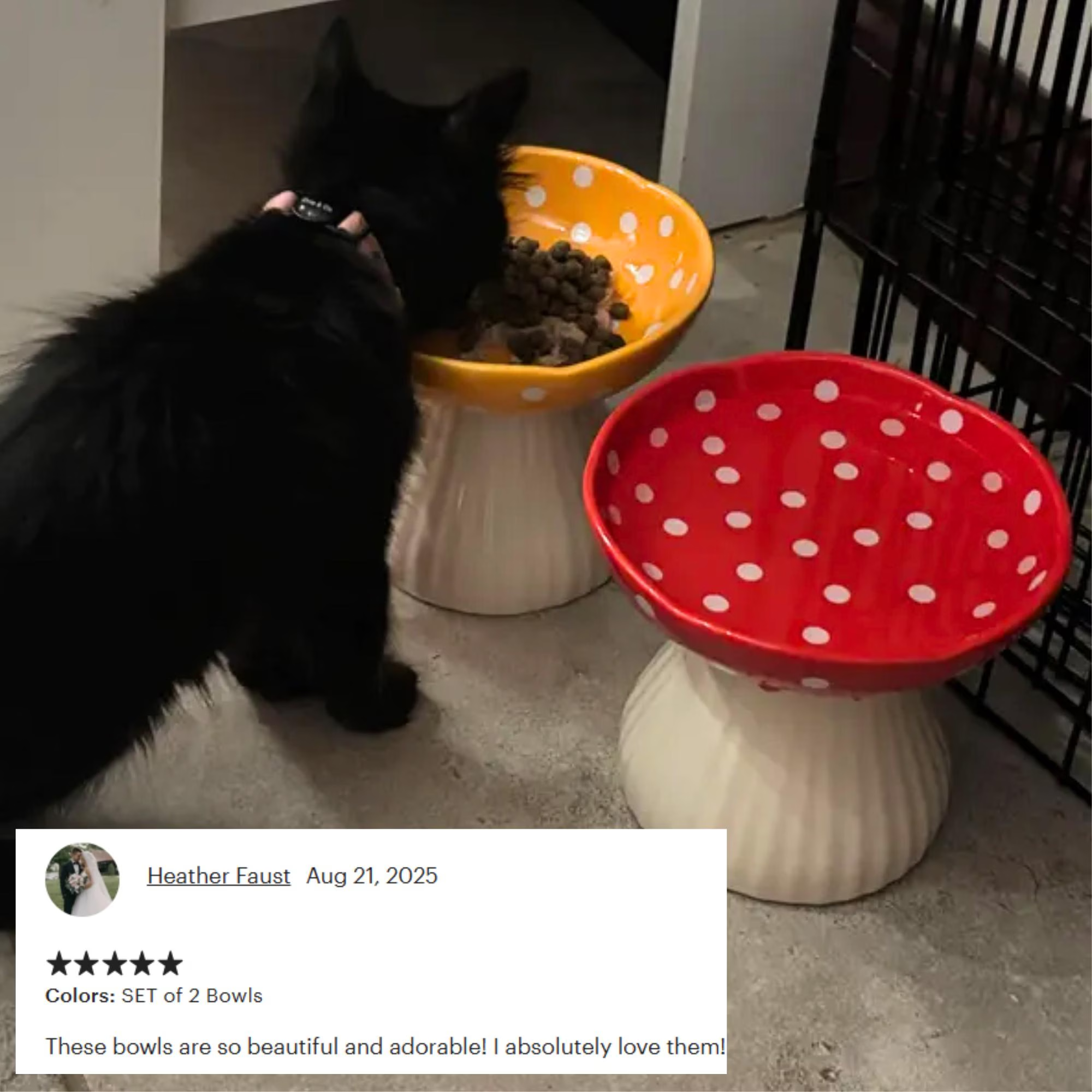 Elevated Cat Bowl Ceramic | Mushroom Anti-Vomiting Feeder for Cats | Whisker Relief Design