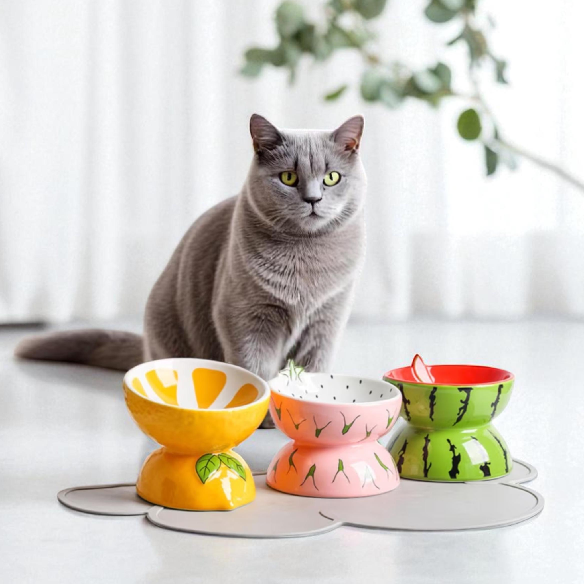 Raised Cat Bowl, Elevated Cat Feeder & Tilted Cat Water-Food Bowl, Protective Ceramic Cat Dish, Large Elevated Dog Food Bowls