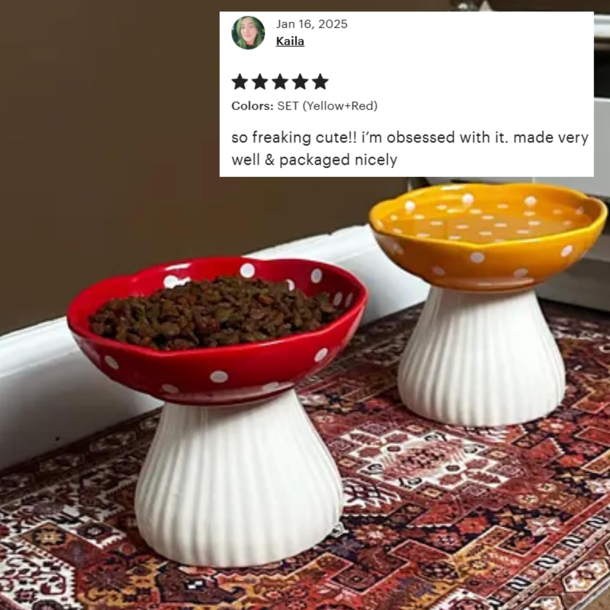 Elevated Cat Bowl Ceramic | Mushroom Anti-Vomiting Feeder for Cats | Whisker Relief Design