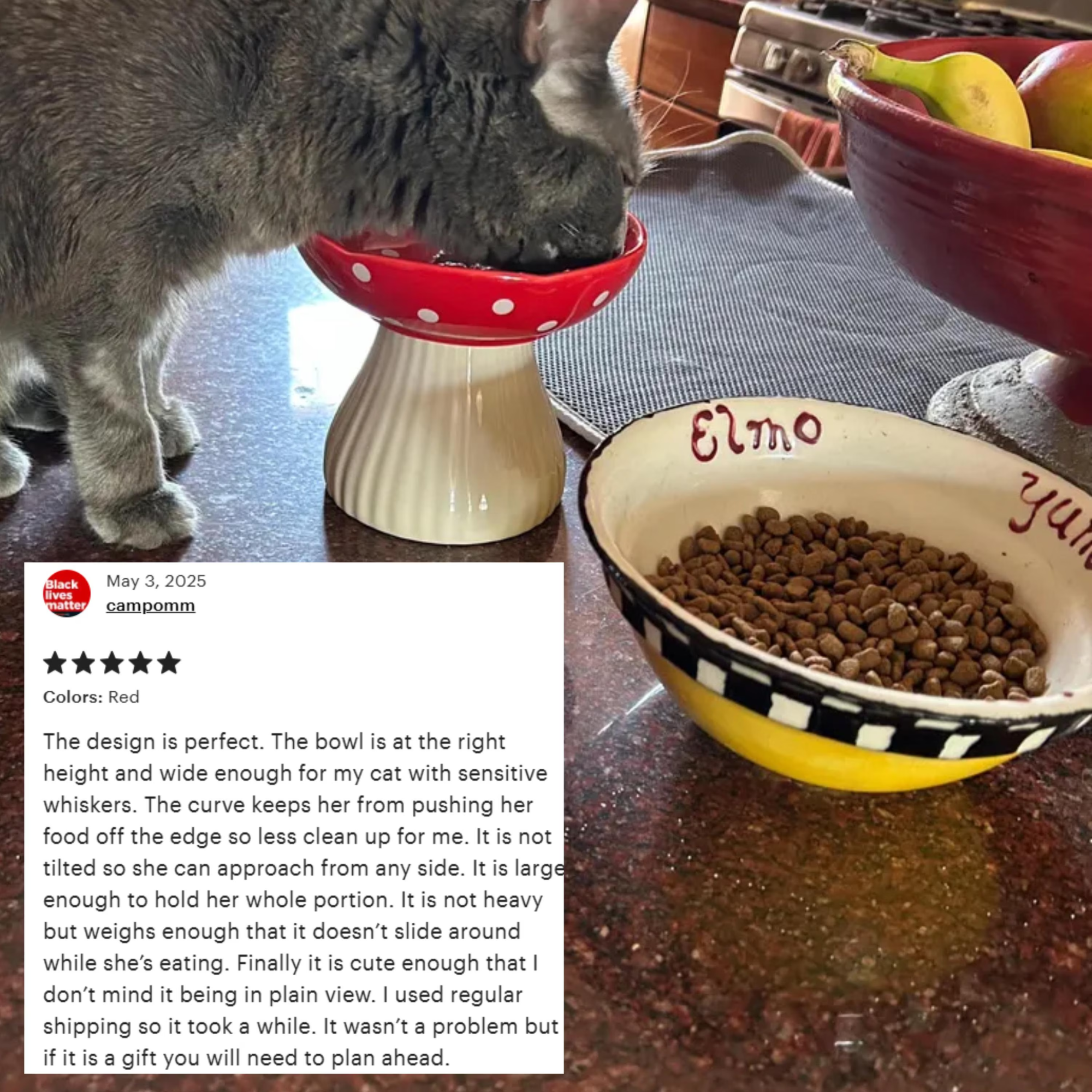 Elevated Cat Bowl Ceramic | Mushroom Anti-Vomiting Feeder for Cats | Whisker Relief Design