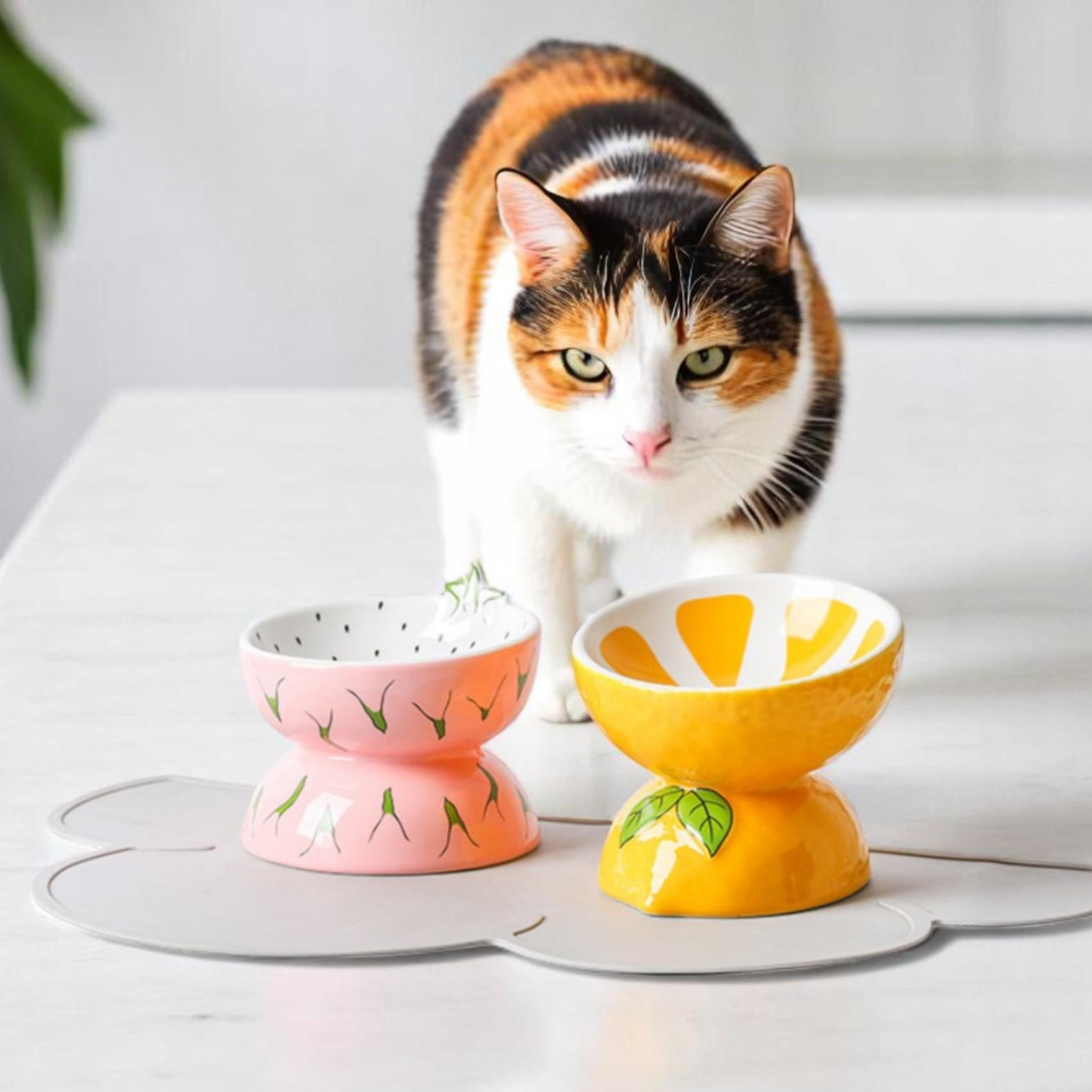 Raised Cat Bowl, Elevated Cat Feeder & Tilted Cat Water-Food Bowl, Protective Ceramic Cat Dish, Large Elevated Dog Food Bowls