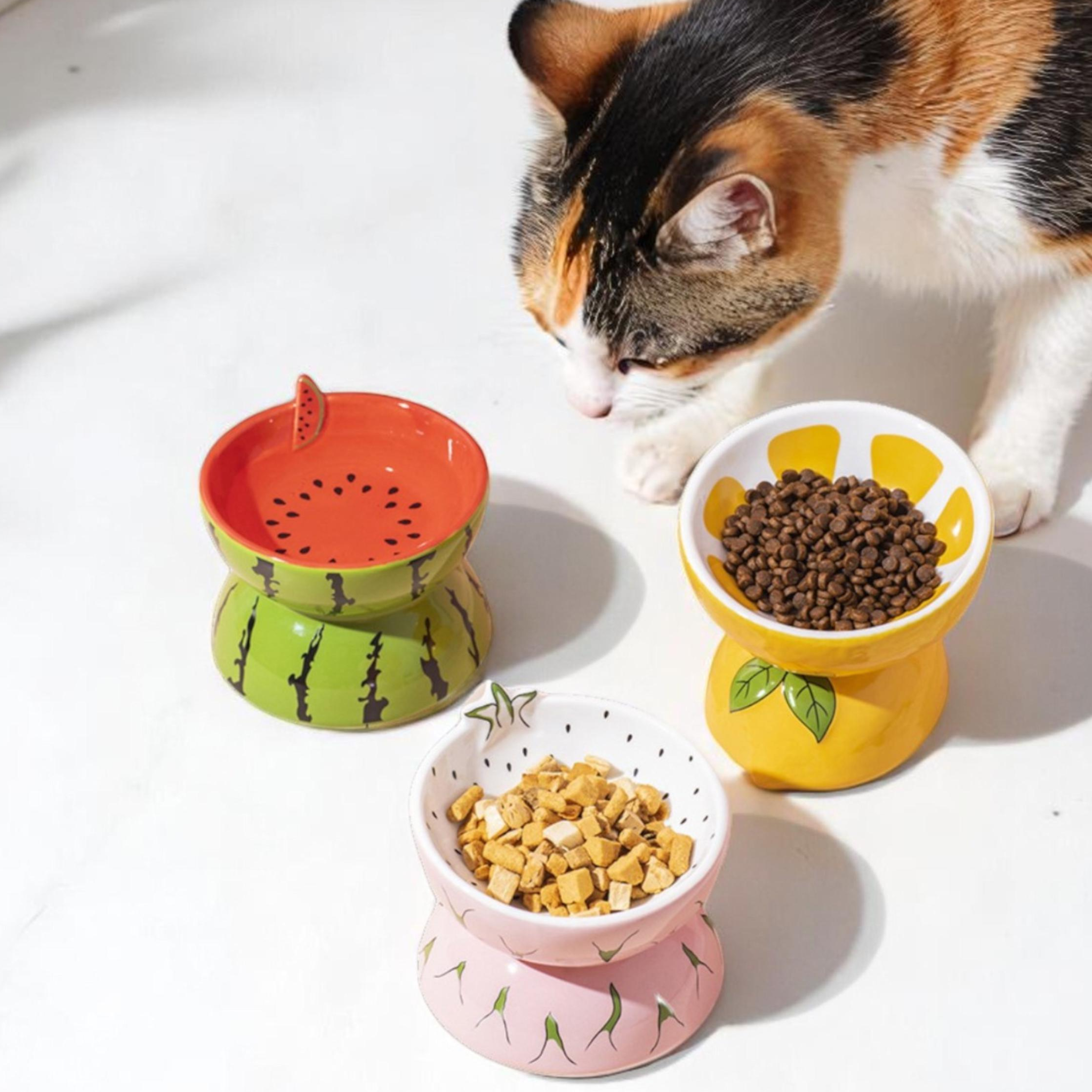 Raised Cat Bowl, Elevated Cat Feeder & Tilted Cat Water-Food Bowl, Protective Ceramic Cat Dish, Large Elevated Dog Food Bowls