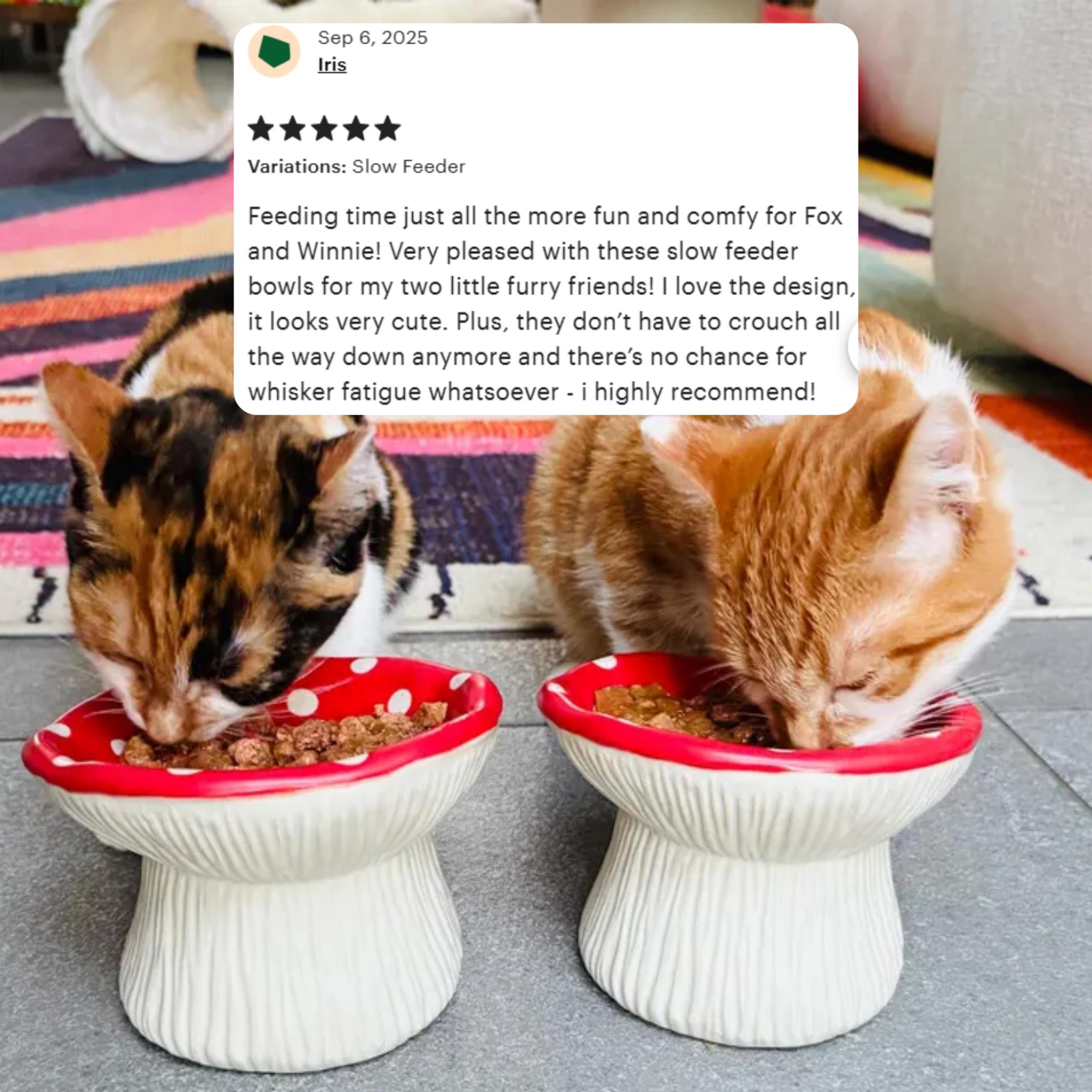 Mushroom Ceramic Slow Feeder Cat Bowl – Elevated Whisker Relief