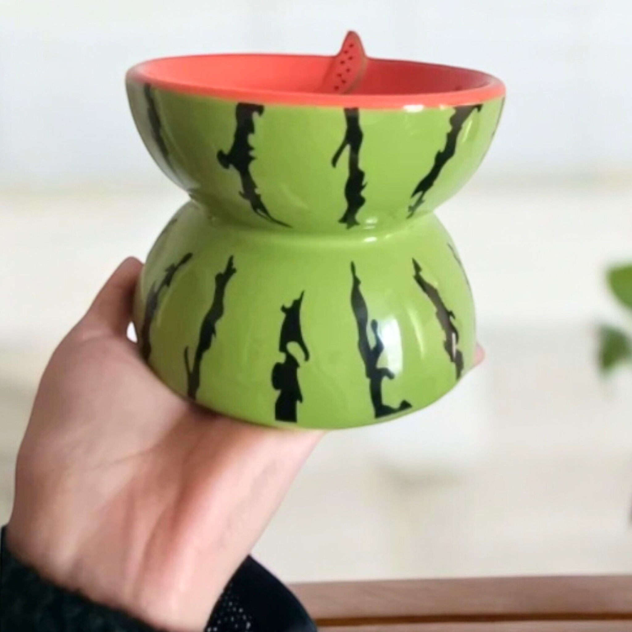 Raised Cat Bowl, Elevated Cat Feeder & Tilted Cat Water-Food Bowl, Protective Ceramic Cat Dish, Large Elevated Dog Food Bowls