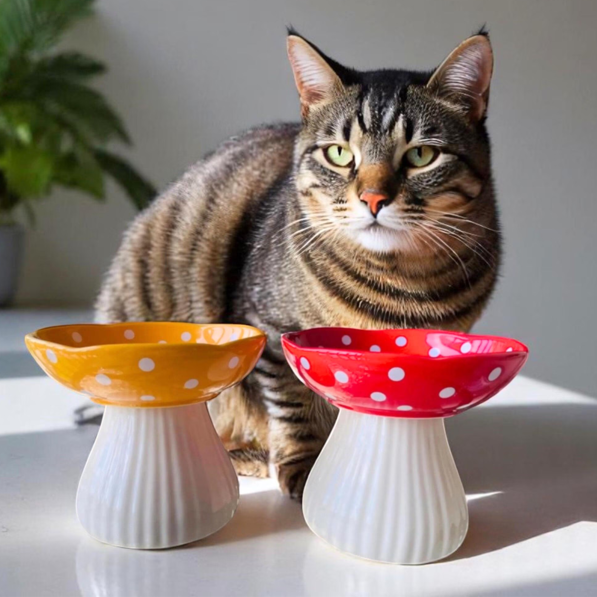 Elevated Cat Bowl Ceramic | Mushroom Anti-Vomiting Feeder for Cats | Whisker Relief Design