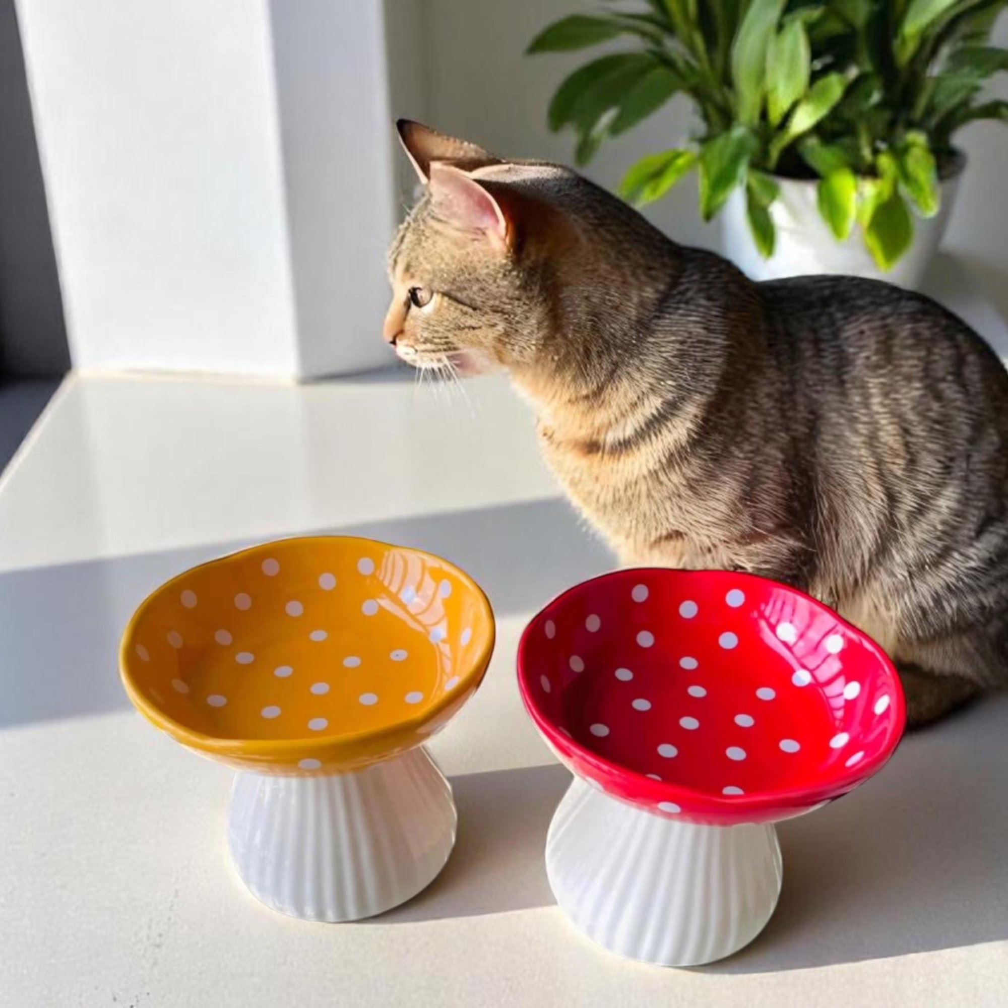 Elevated Cat Bowl Ceramic | Mushroom Anti-Vomiting Feeder for Cats | Whisker Relief Design