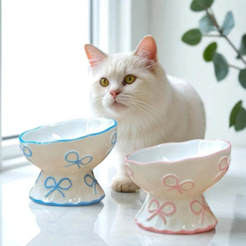 Minimalist white ceramic cat bowls with pink and blue ribbon designs and a white cat in a lifestyle setting.